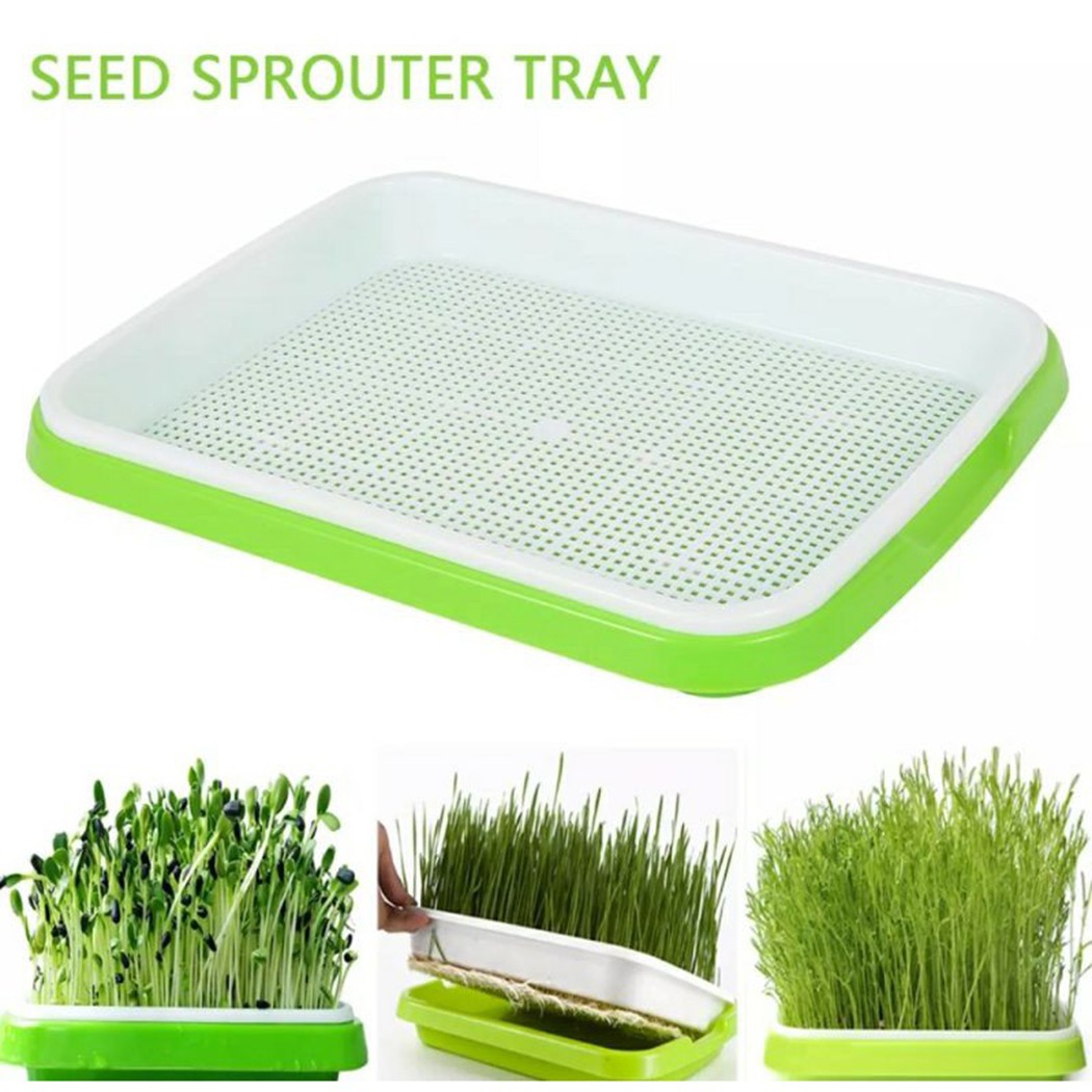Hydroponic Grow Pod - Microgreens Sprouter ถาด Hydroponic/Suputing ถาดสําหรับ Sprout