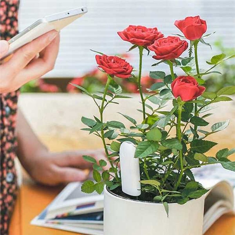 Plant Sensor - ABVG-Flora เครื่องวัดสมาร์ทสำหรับดูแลสวน ตรวจวัดสภาพดิน น้ำ และความอุดมสมบูรณ์ของพืชและหญ้า
