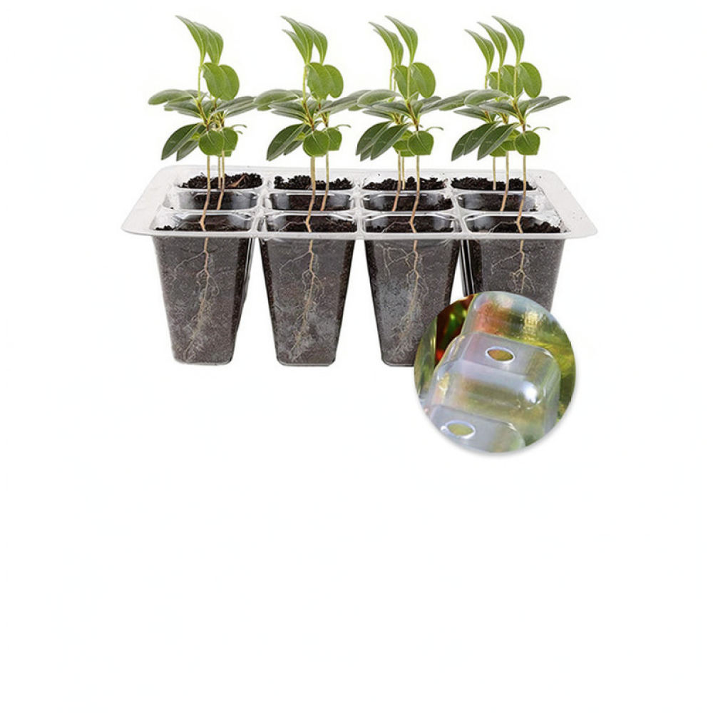 Indoor Garden Kit - ชุดเริ่มต้นไฟปลูกพืช พร้อมอุปกรณ์เรือนกระจกทรงโดมสูง สำหรับการปลูกในบ้านและการขยายพันธุ์