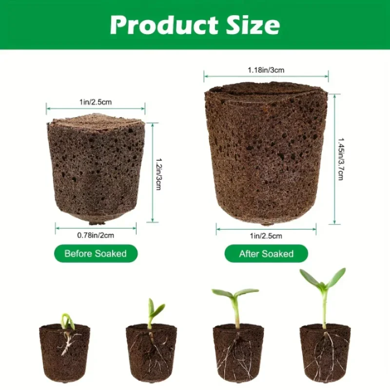 Indoor Garden Kit - ชุดฟองน้ำเริ่มต้นการเพาะเมล็ดสำหรับระบบปลูกพืชไร้ดินในร่ม ประกอบด้วยฟองน้ำเพิ่มการเจริญเติบโต พร้อมปลอกเมล็ดที่ใช้แทนราก