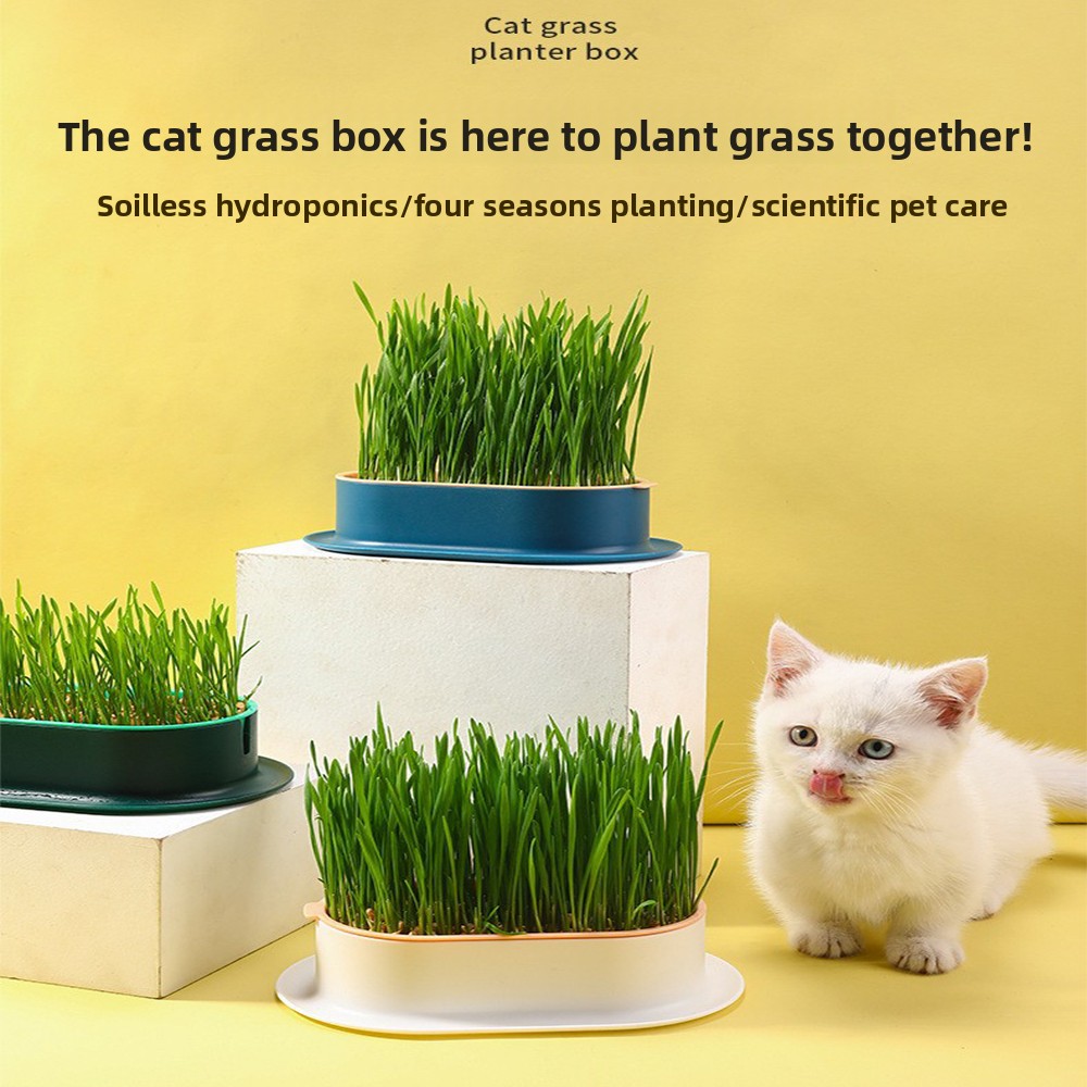 Hydroponic Grow Pod - อุปกรณ์สําหรับสัตว์เลี้ยงขนมแมวแมวปลูกกล่องไฮโดรโปนิกหม้อหญ้าแมว Hydroponic กล่องหญ้าแมว
