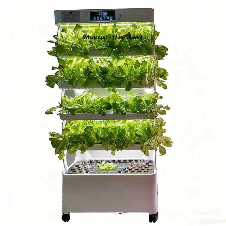 ระบบปลูกผักแนวตั้งอัจฉริยะแบบไ - Grow Light Led บทวิจารณ์และราคา