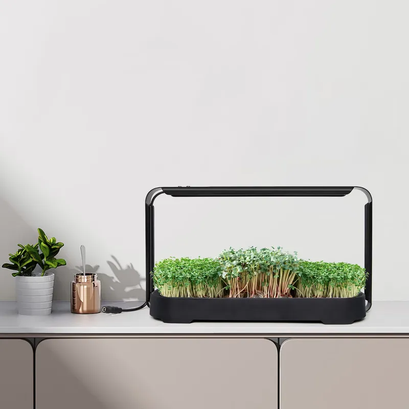 ระบบปลูกผักไมโครกรีนแบบไฮโดรโพ - Indoor Garden Kit บทวิจารณ์และราคา