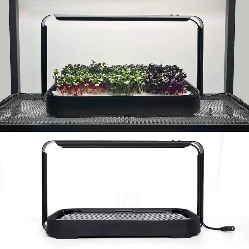 ระบบปลูกผักไมโครกรีนแบบไฮโดรโพ - Indoor Garden Kit บทวิจารณ์และราคา