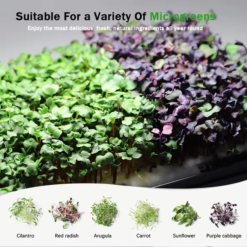 ระบบปลูกผักไมโครกรีนแบบไฮโดรโพ - Indoor Garden Kit บทวิจารณ์และราคา