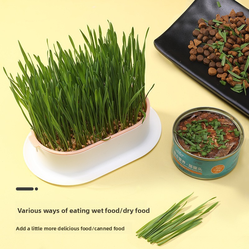 อุปกรณ์สําหรับสัตว์เลี้ยงขนมแม - Hydroponic Grow Pod บทวิจารณ์และราคา