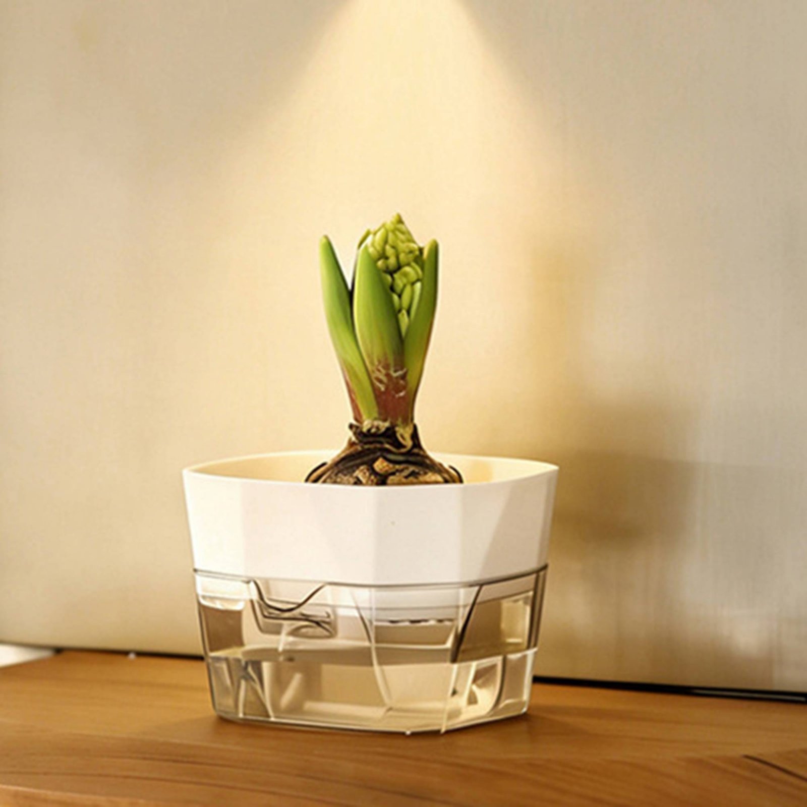 แจกันปลูกพืชแบบไฮโดรโปนิกส์ 2  - Automatic Watering บทวิจารณ์และราคา