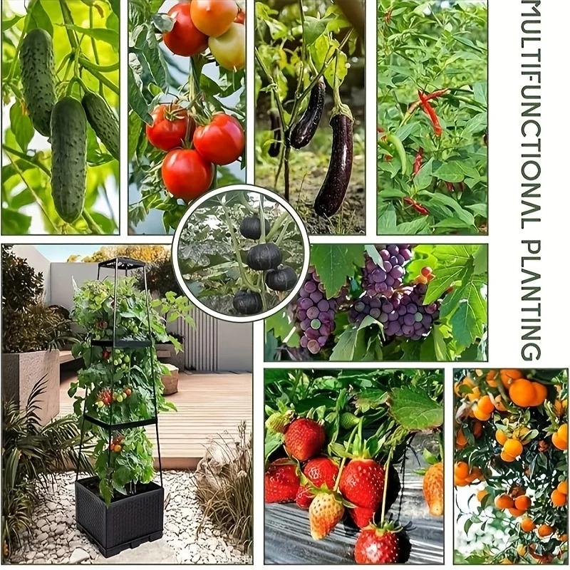 ชุดโครงสร้างสำหรับปลูกมะเขือเท - Hydroponic Tower บทวิจารณ์และราคา