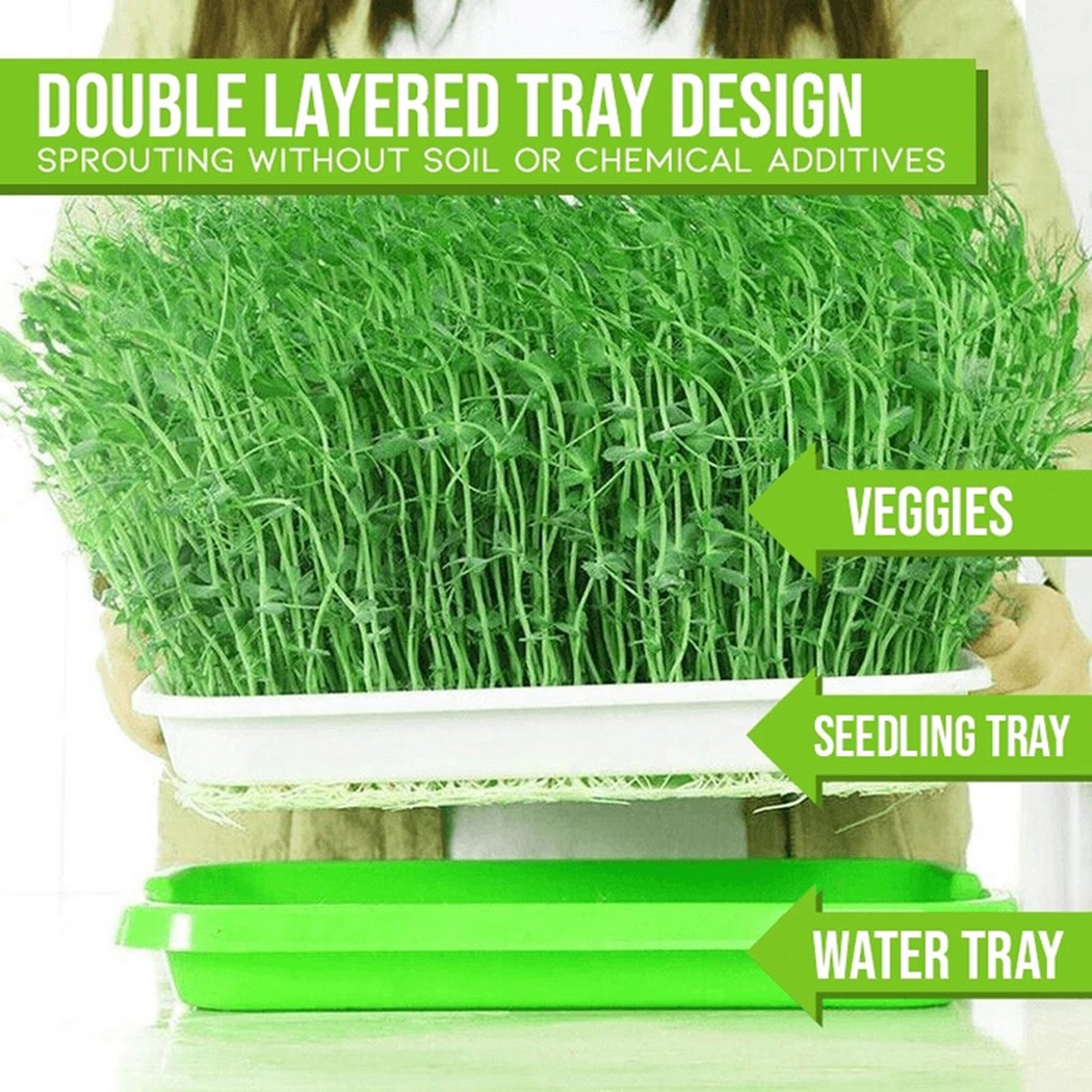 Microgreens Sprouter ถาด Hydro - Hydroponic Grow Pod บทวิจารณ์และราคา