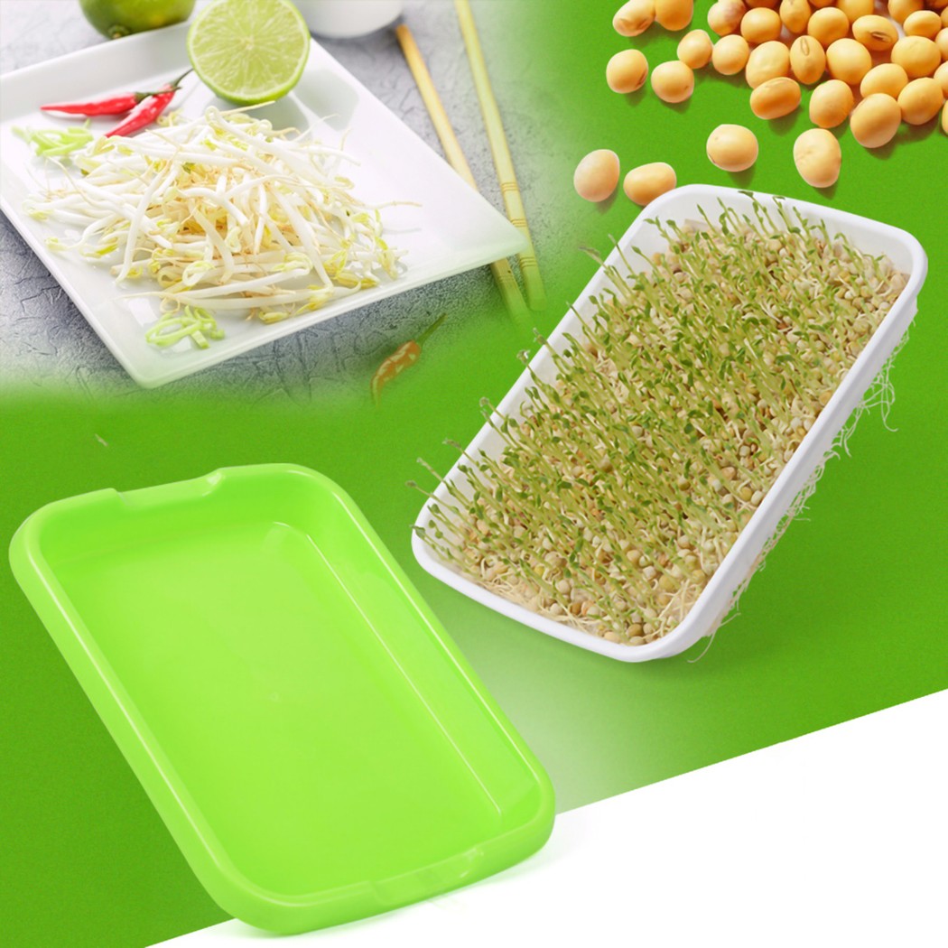 Microgreens Sprouter ถาด Hydro - Hydroponic Grow Pod บทวิจารณ์และราคา