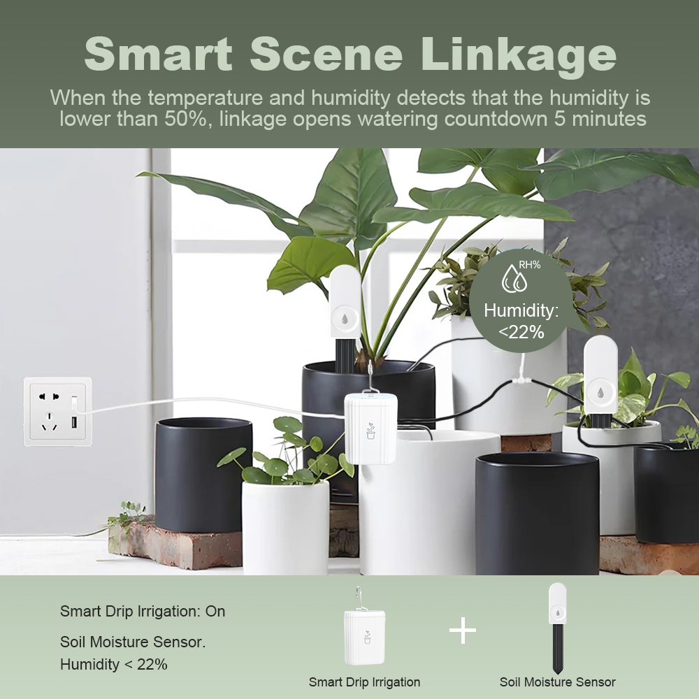 เครื่องวัดความชื้นในดิน ZigBee - Garden Camera บทวิจารณ์และราคา