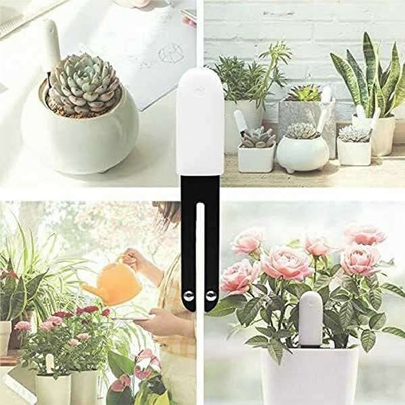 ABVG-Flora เครื่องวัดสมาร์ทสำห - Plant Sensor บทวิจารณ์และราคา
