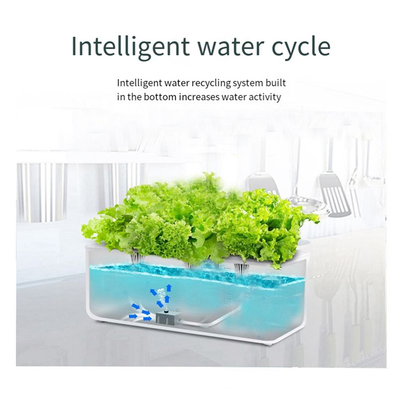 A76I-ระบบปลูกพืชไฮโดรโปนิกส์ใน - Hydroponic Grow Pod บทวิจารณ์และราคา