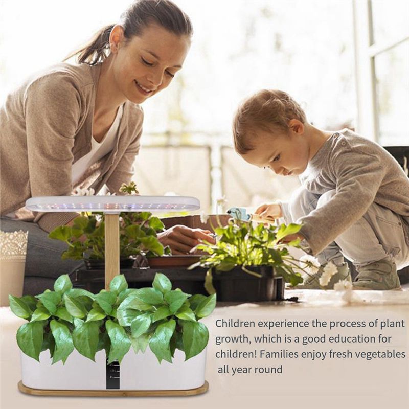 A76I-ระบบปลูกพืชไฮโดรโปนิกส์ใน - Hydroponic Grow Pod บทวิจารณ์และราคา