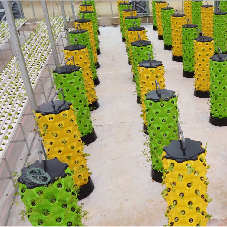 ระบบปลูกพืชไฮโดรโปนิกส์แนวตั้ง - Hydroponic Tower บทวิจารณ์และราคา