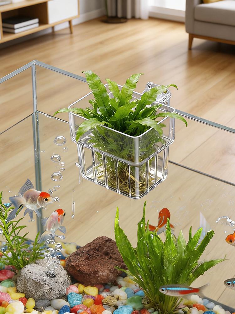 ที่วางต้นไม้ในตู้ปลาแบบใส ของต - Hydroponic Grow Pod บทวิจารณ์และราคา