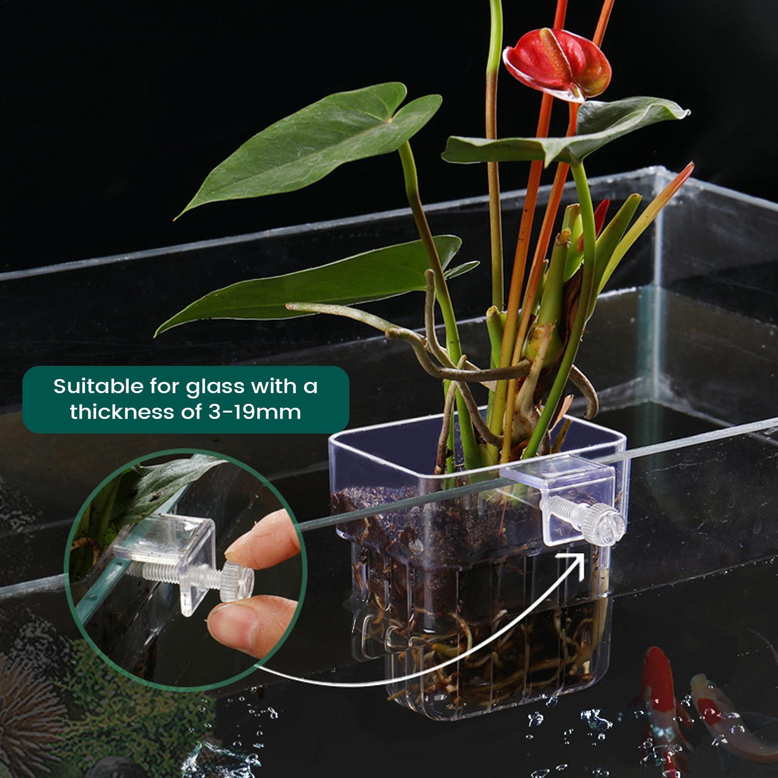 ที่วางต้นไม้ในตู้ปลาแบบใส ของต - Hydroponic Grow Pod บทวิจารณ์และราคา