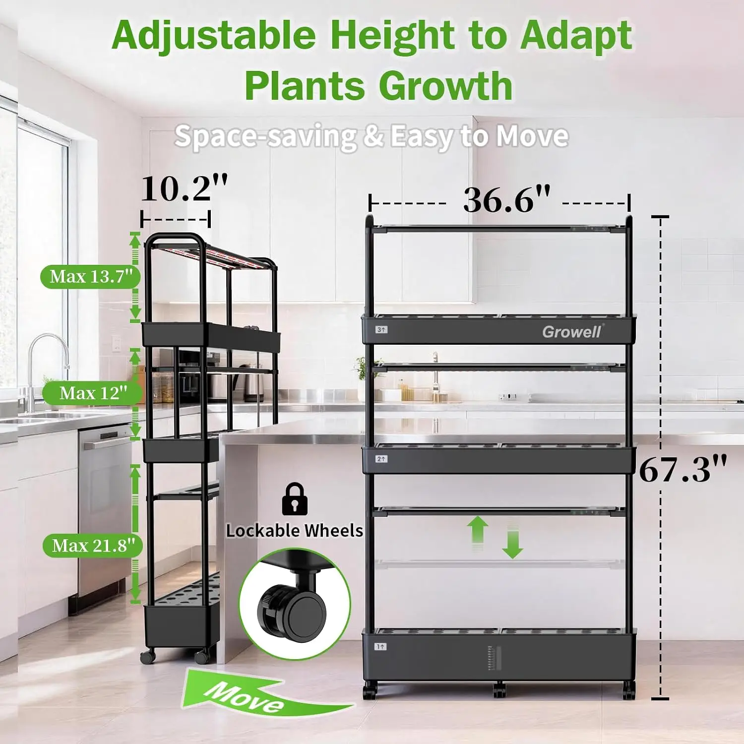 ชุดระบบปลูกพืชไฮโดรโปนิกส์ขนาด - Indoor Garden Kit บทวิจารณ์และราคา