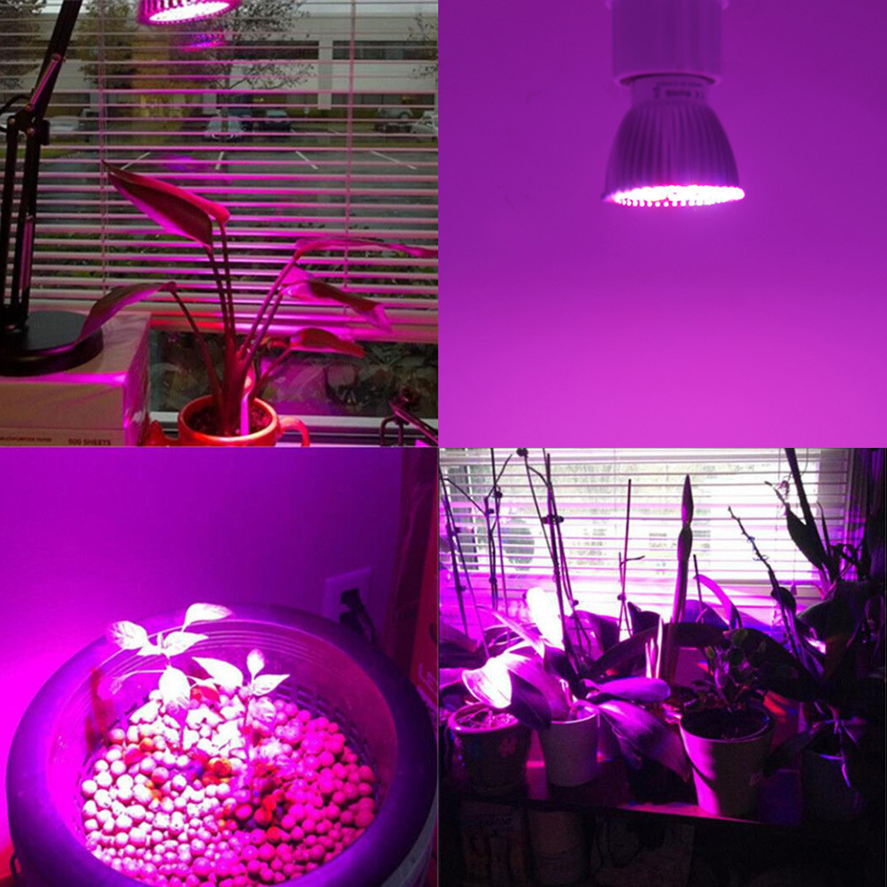 โคมไฟ LED สำหรับปลูกพืช แสงเต็ - Plant Grow Light Full Spectrum บทวิจารณ์และราคา