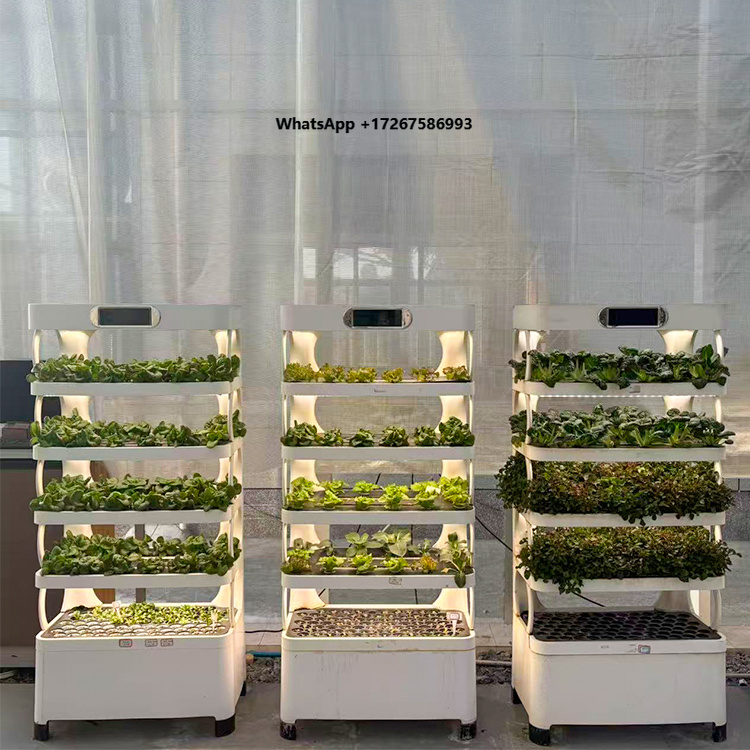 กระถางปลูกต้นไม้ในร่มอัจฉริยะ  - Grow Light Led บทวิจารณ์และราคา